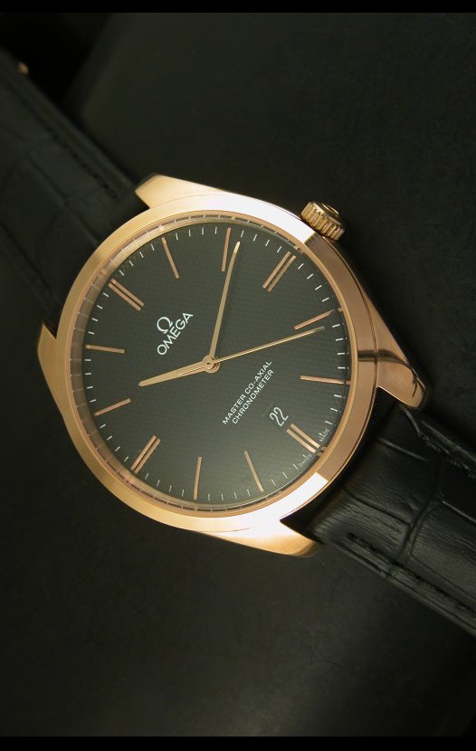 Omega Seamaster Master Co-Axial - Cronómetro Ultima Edición Escala 1:1